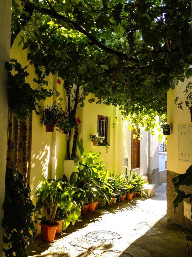 Casa Corasol, A Cozy, Comfy, 2Br House- Panoramic View And Rooftop Canar Exterior photo